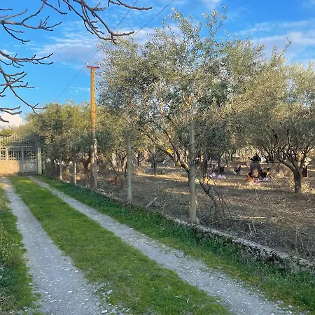 Πανσιόν Nature Escape