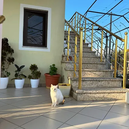 Nature Escape Πανσιόν *