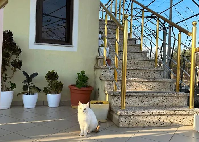 Nature Escape Maison d'hôtes *