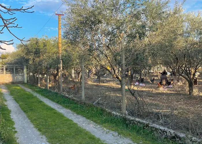 Casa de hóspedes Nature Escape